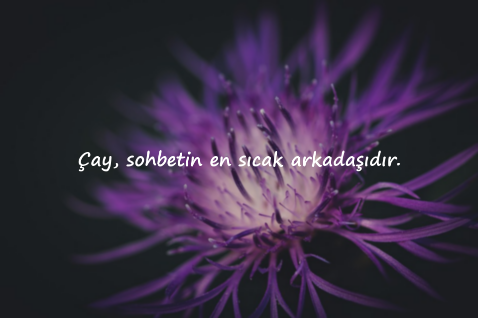 Çay ile İlgili Güzel Sözler