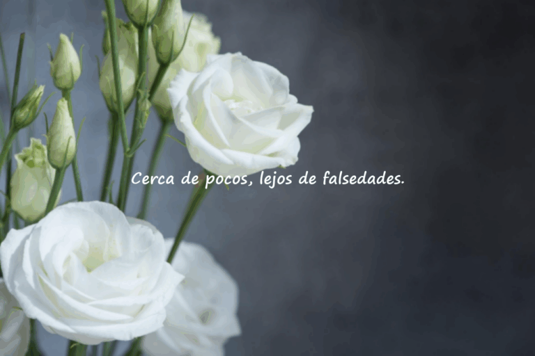 Frases Asociales