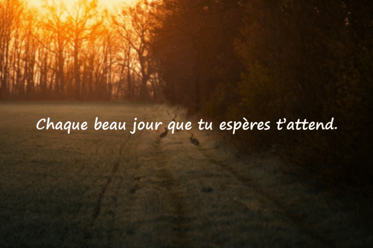 Citations sur les Beaux Jours