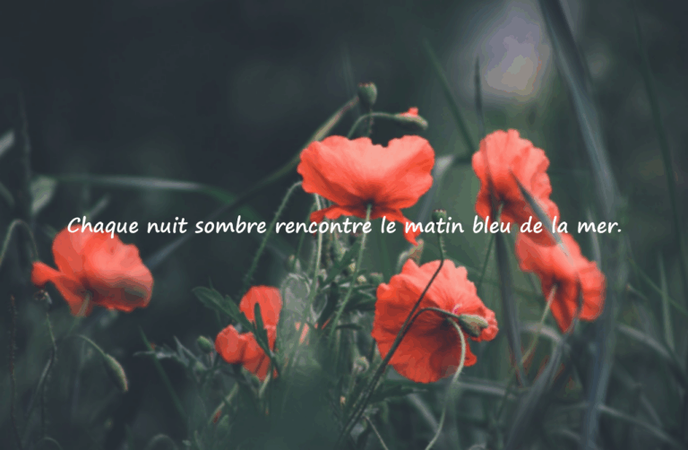 Citations sur la mer