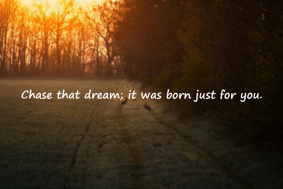 Dream-Related Quotes
