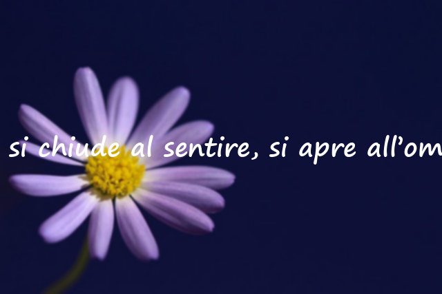 Frasi significative sull’insensibilità