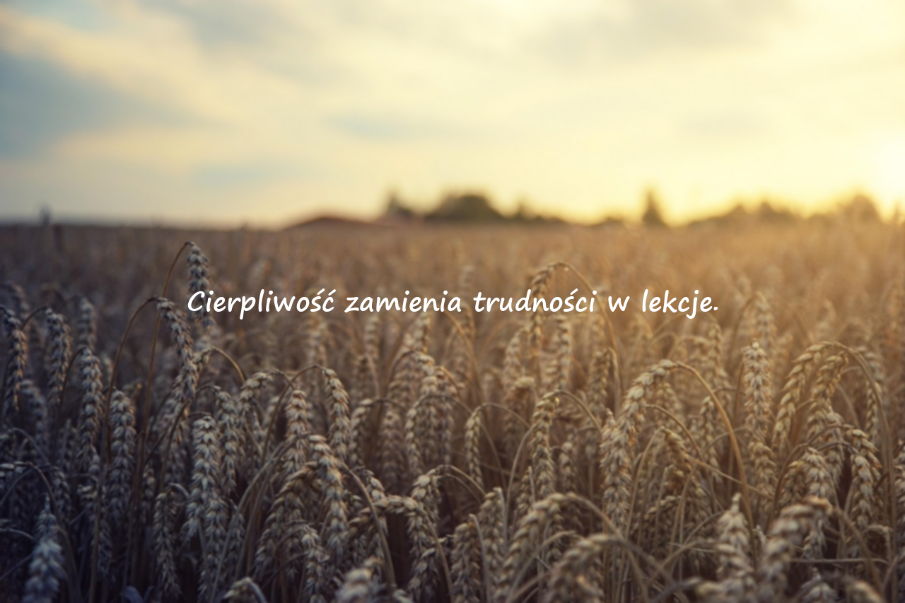 Trudności – Głębokie i pozytywne cytaty o wyzwaniach życiowych