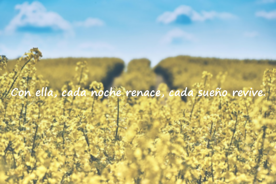 Palabras sobre la luna creciente