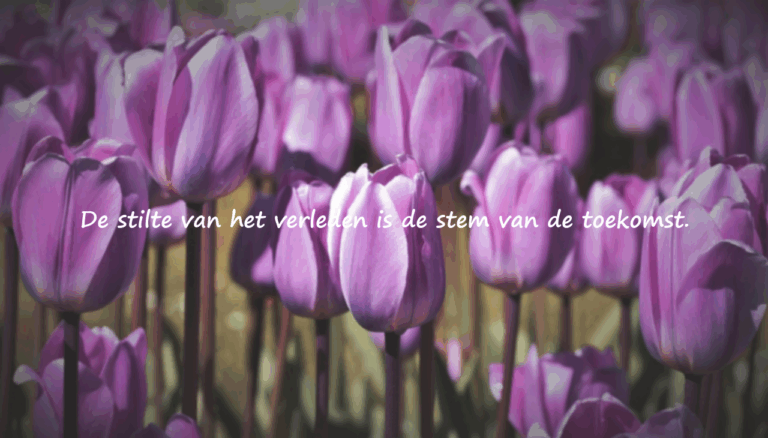 Mooie citaten over het verleden