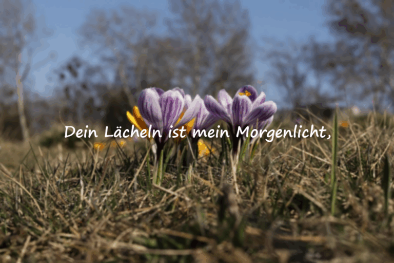Liebesgedichte für Meine Geliebte / Meinen Geliebten