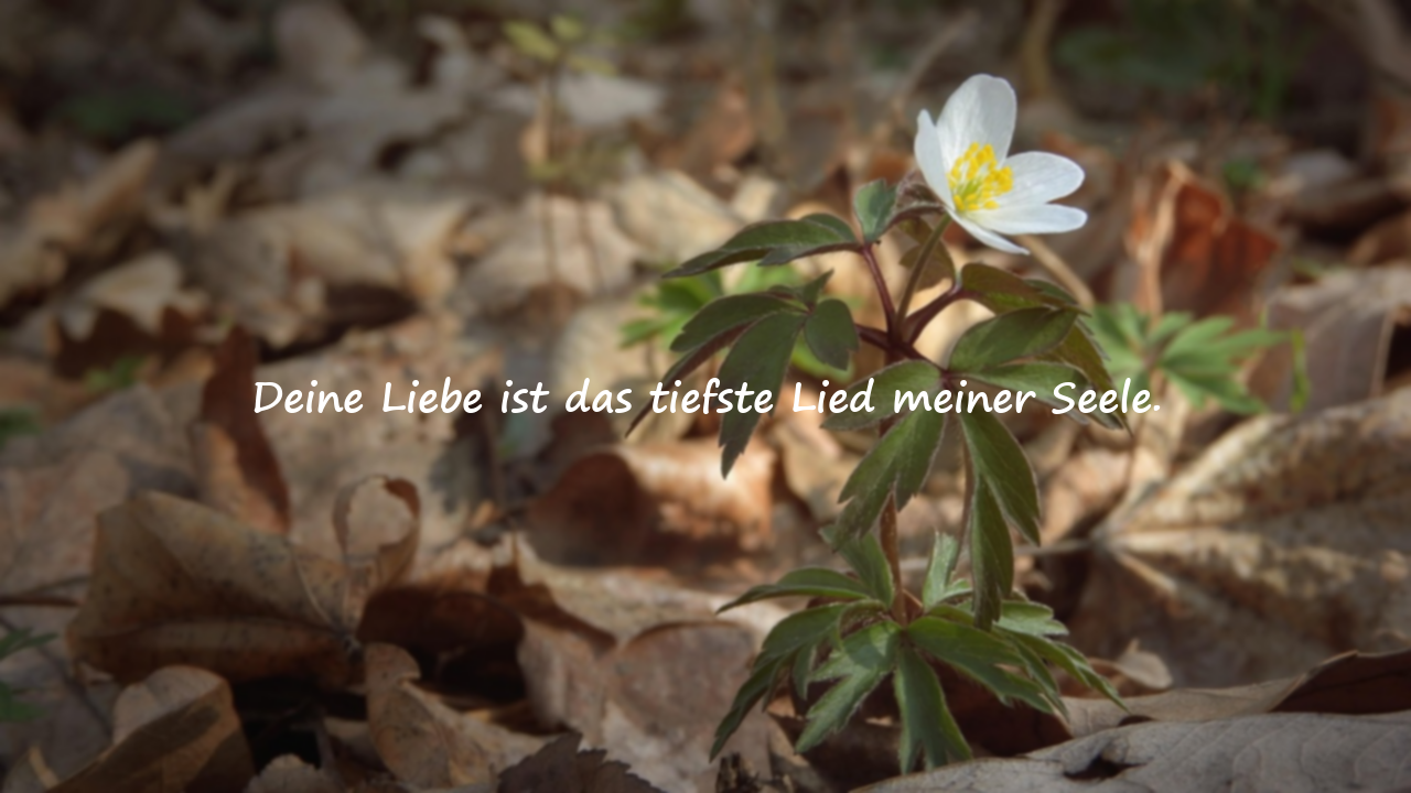 Bedeutungsvolle schöne Worte für meine Frau