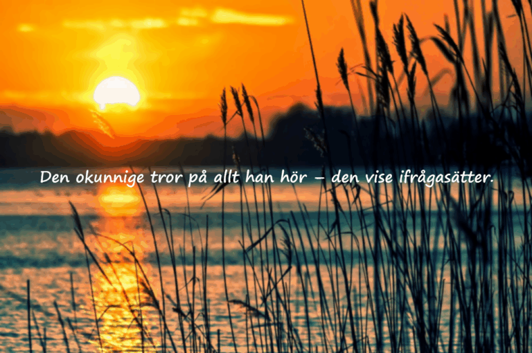 Citat om okunnighet