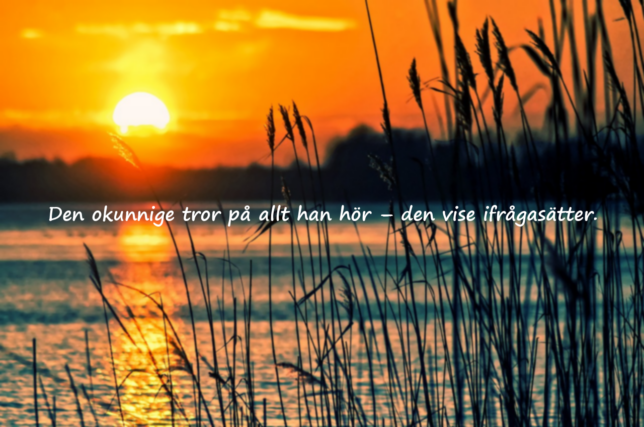 Citat om okunnighet