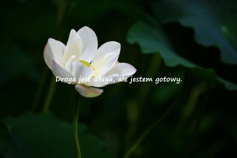 Cytaty o odejściu