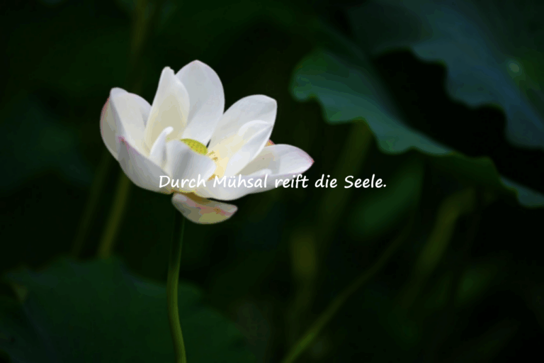 Zitate über die Mühsal