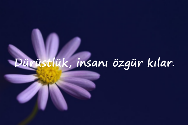 dürüstlükle ilgili sözler