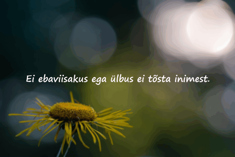 Tsitaadid ebaviisakusest