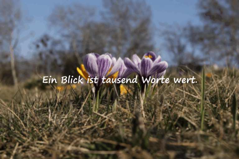 Bedeutungsvolle und schmeichelhafte Zitate über Blickkontakt