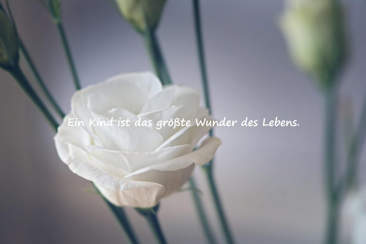 Worte über die Liebe zu Kindern