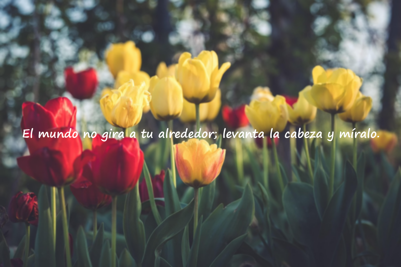 Frases sobre el egoísmo