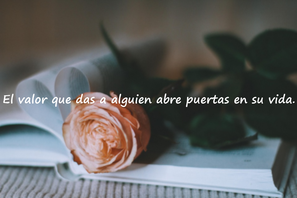 Frases significativas sobre valorar a los demás