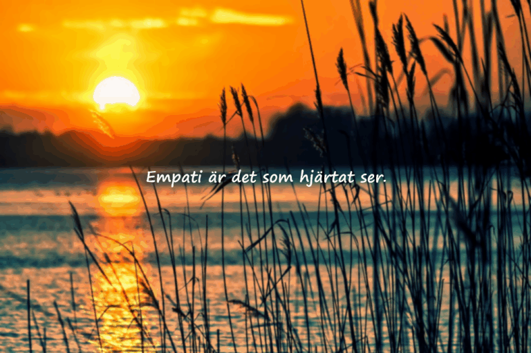 Empati Citat