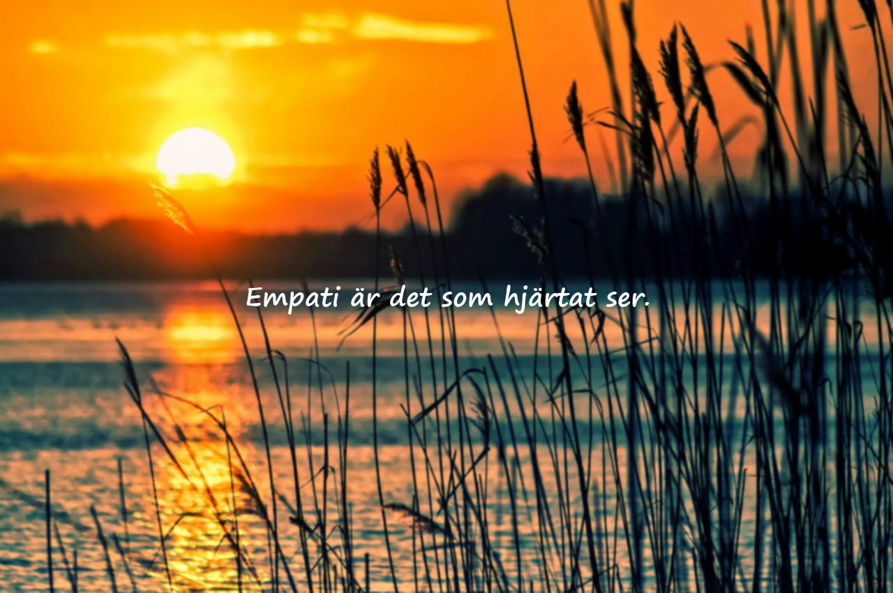 Empati Citat
