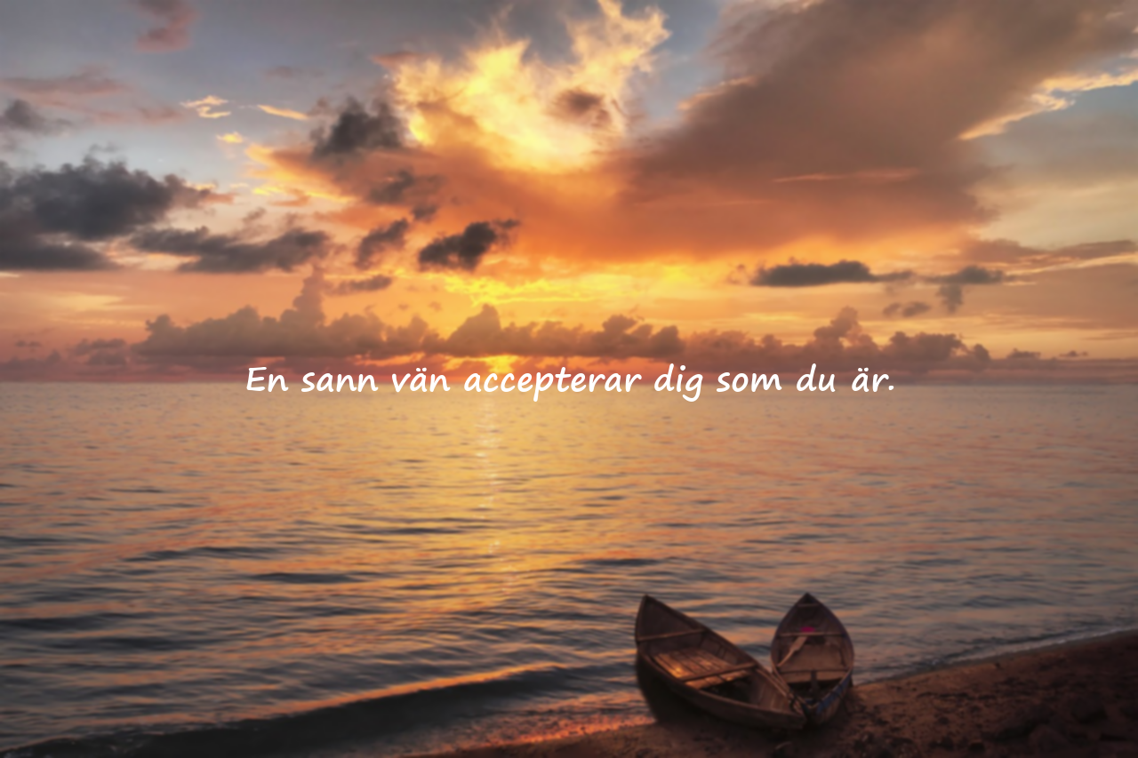 Citat om vänskap