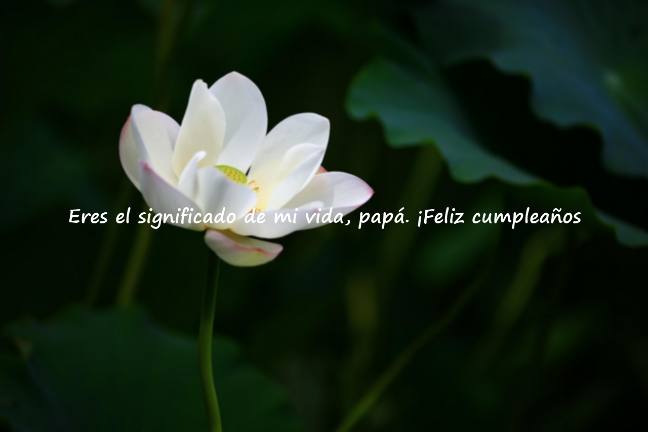 Felicitaciones de cumpleaños para papá
