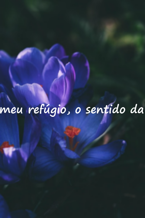 Palavras belas e significativas para a minha esposa