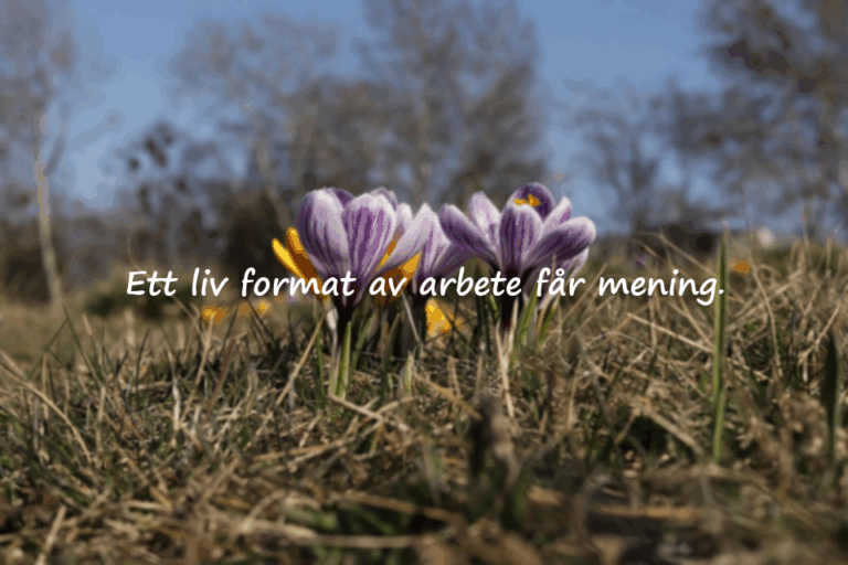Citat om ansträngning