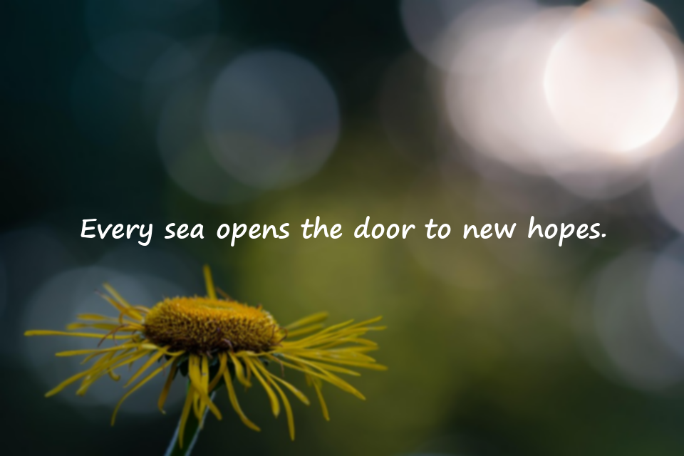 Quotes About the Sea