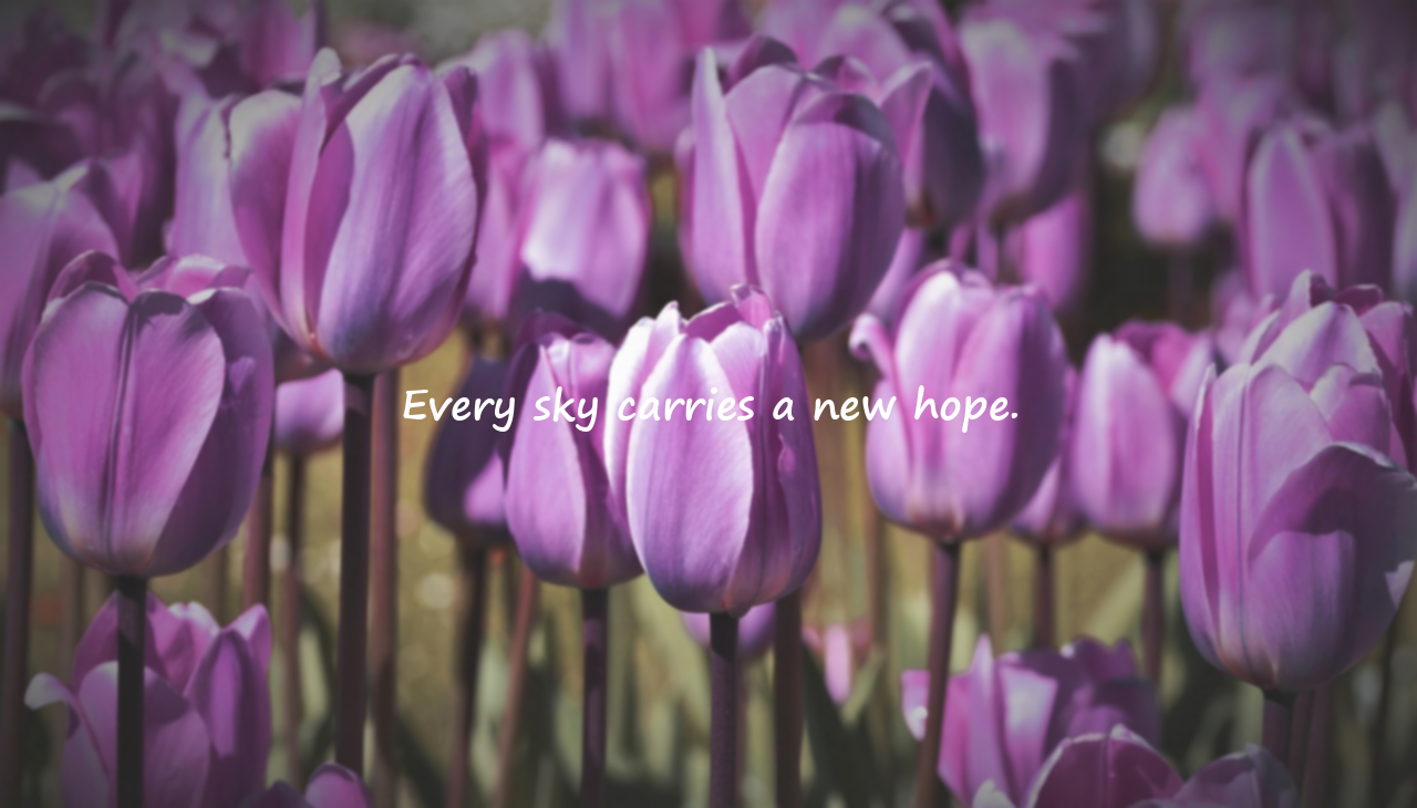 Quotes About The Sky