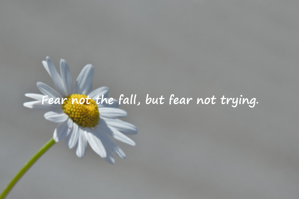 Quotes About Falling