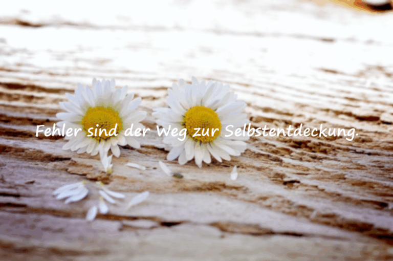 Schöne Zitate über Fehler