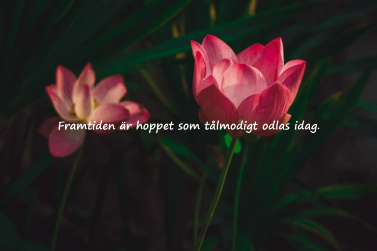 Vackra citat om framtiden