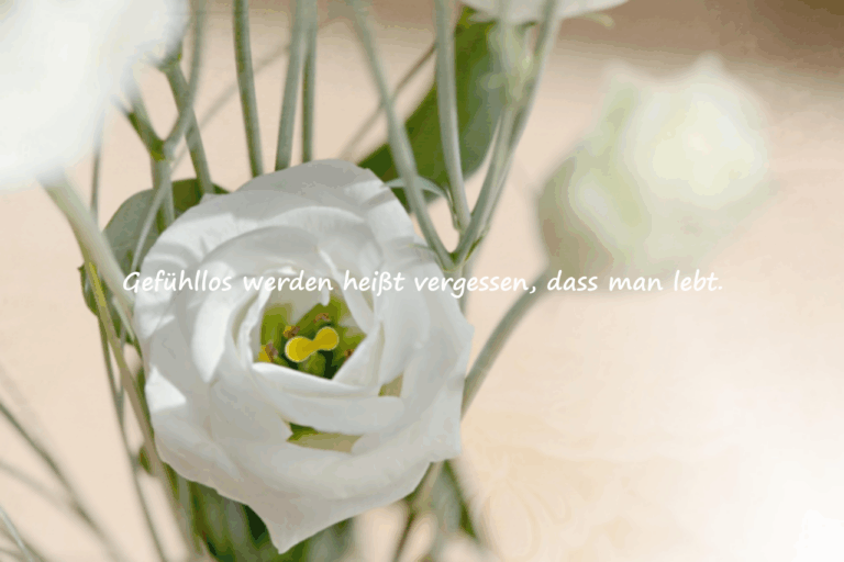 Bedeutungsvolle schöne Zitate über Gefühllosigkeit