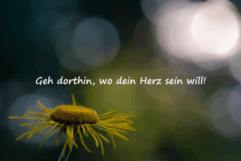Zitate über Träume