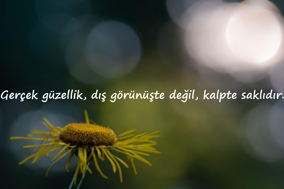güzelikle ilgili sözler
