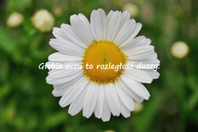 Znaczące i piękne cytaty o oczach