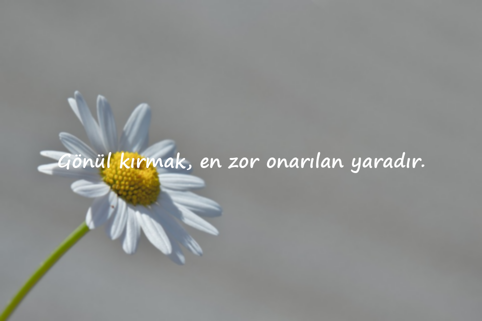 Gönül ile İlgili Sözler