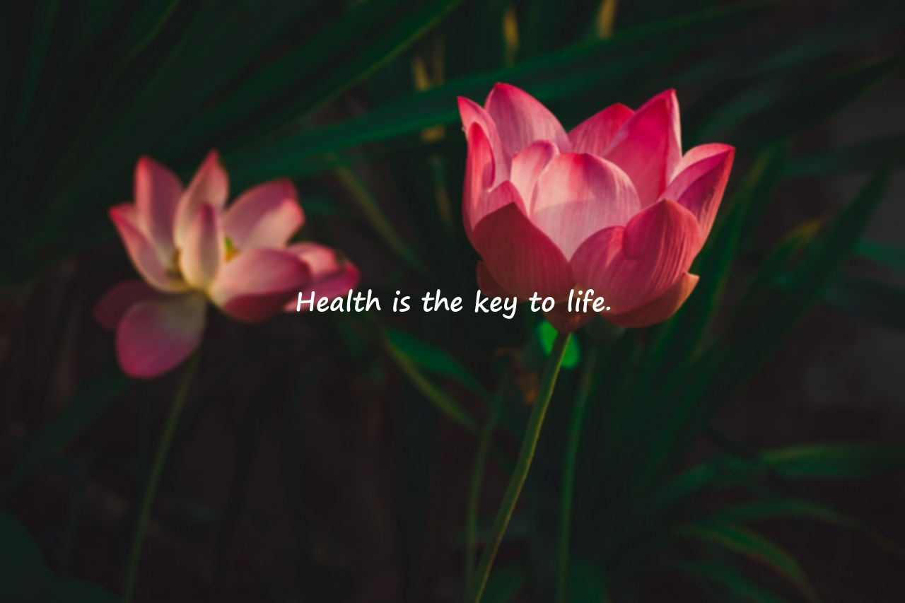 Quotes About Health