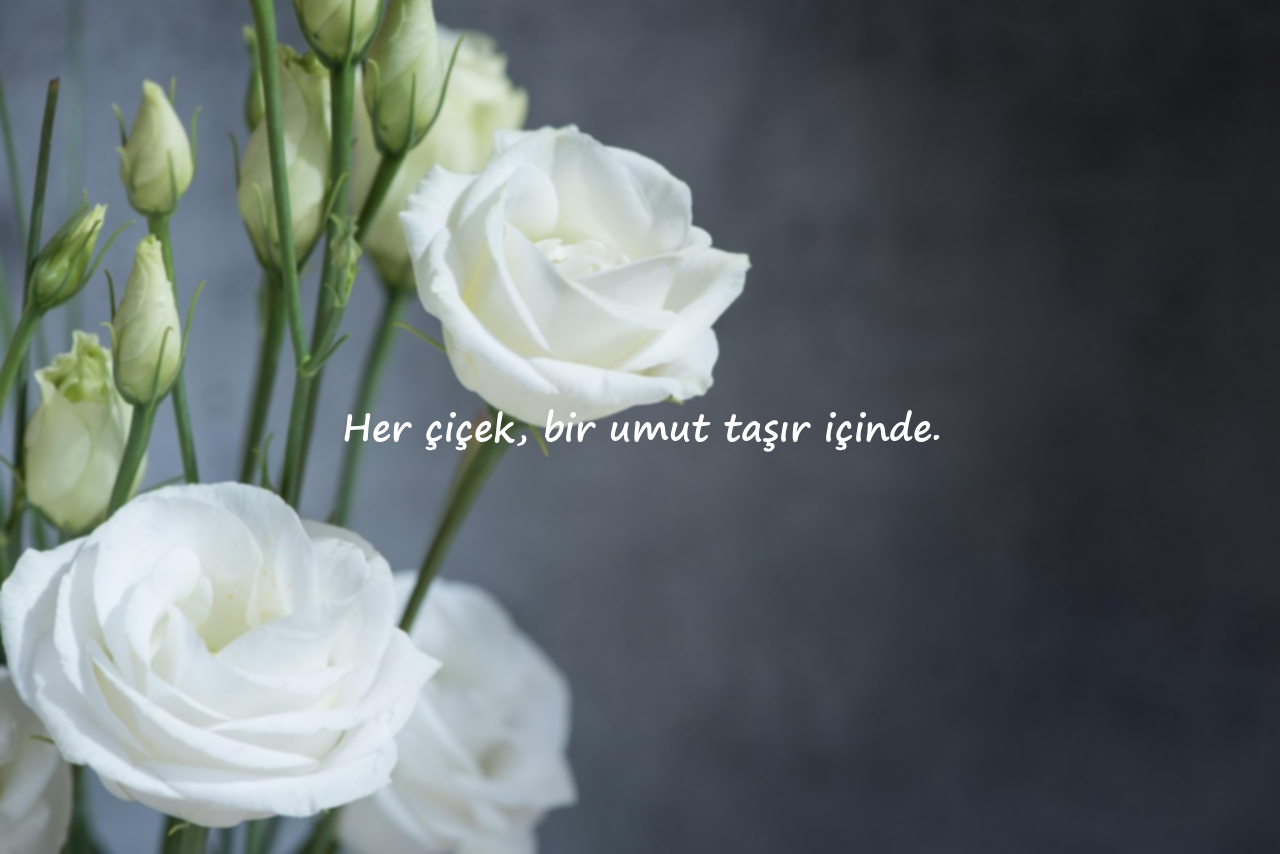 Çiçeklerle İlgili Sözler