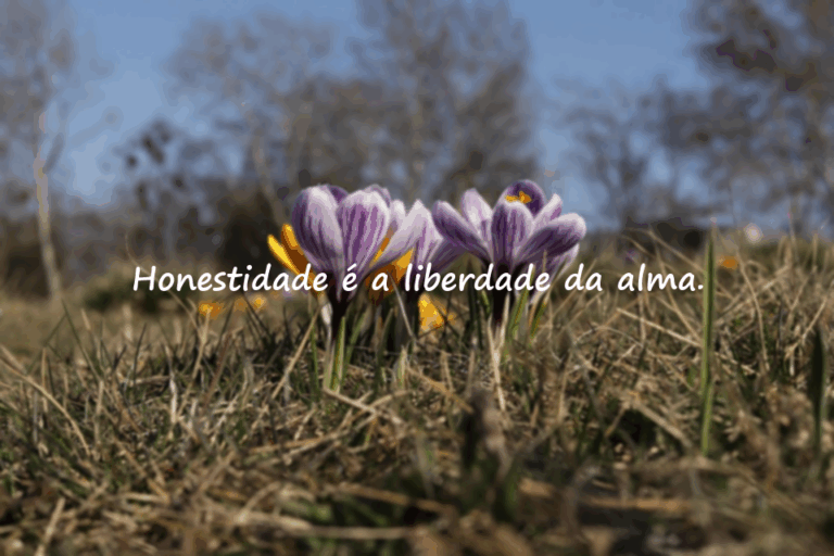 Citações sobre honestidade