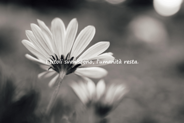 Frasi indirette sul mondo effimero