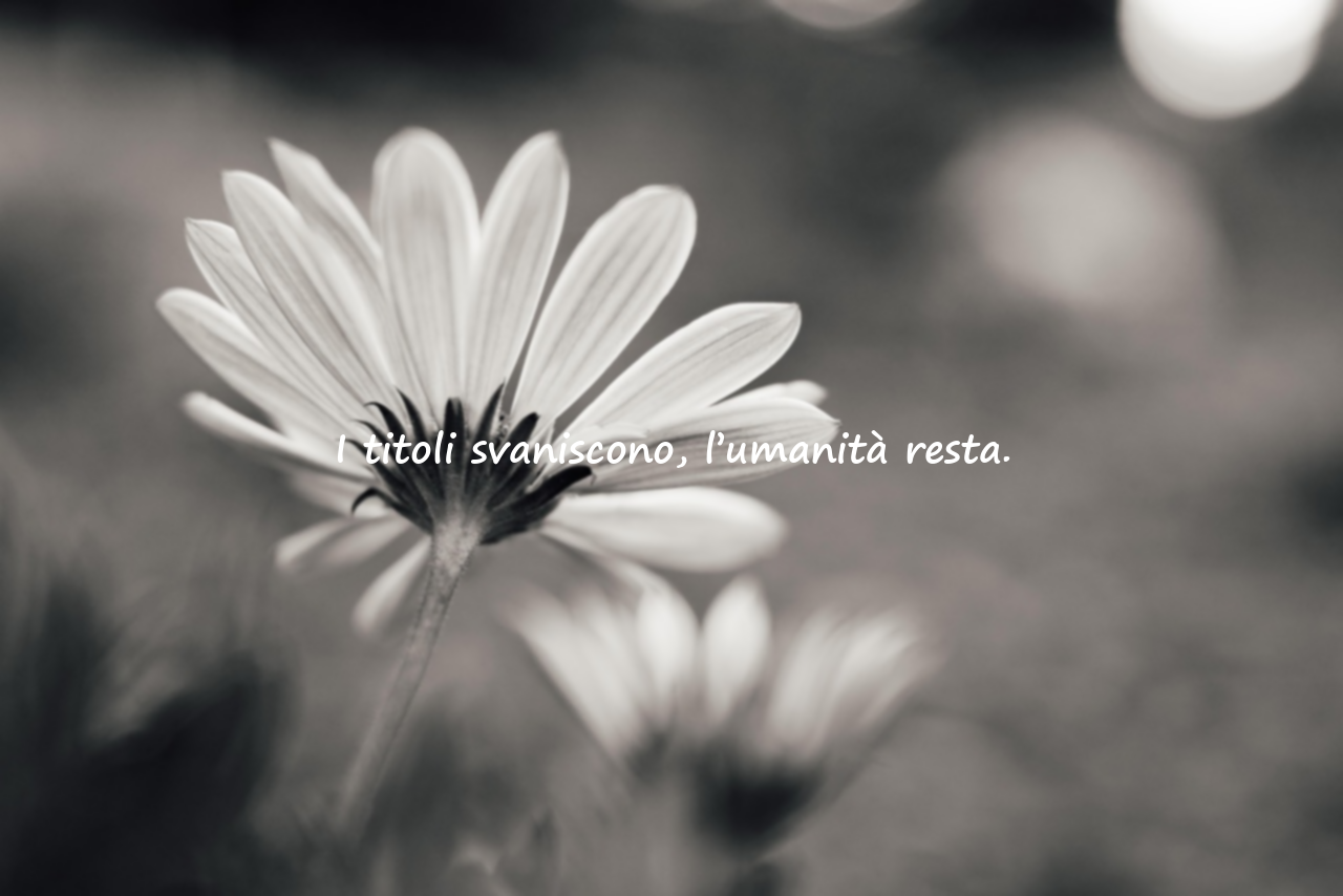 Frasi indirette sul mondo effimero