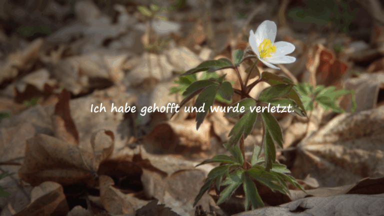 Traurige Sprüche