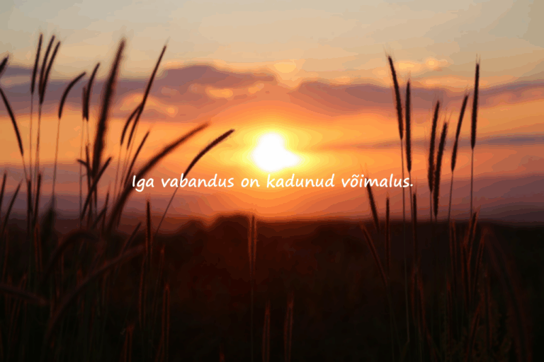 Vabandused ja Tegutsemine