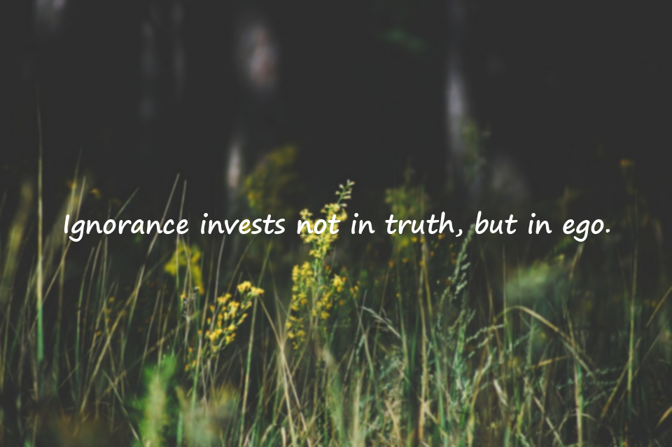 Quotes About Ignorance