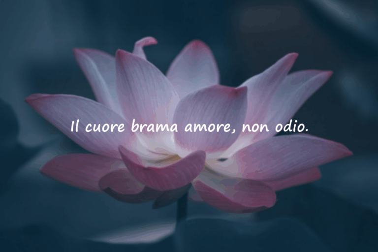 Citazioni sul cuore (anima/spirito)
