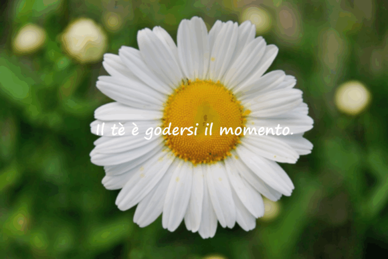 Frasi sul tè