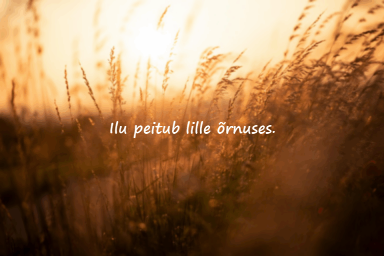Lilledest Ütlused