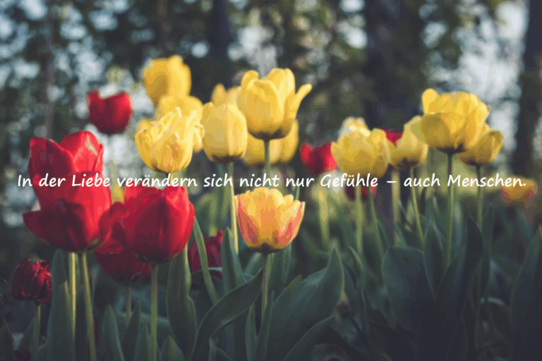Zitate über Veränderung in Beziehungen