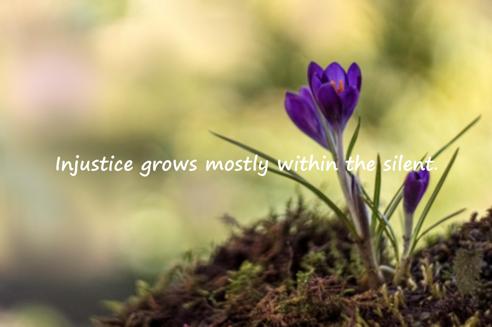 Quotes About Injustice